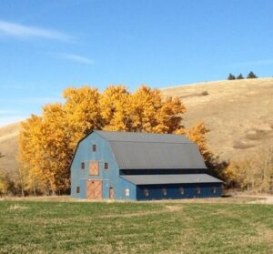 Gambrel 38×56-in-MT-205A-Lean-To-Agricultural-Farm