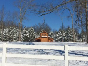 Monitor 40×36-in-TN-300K-Horse-Barn